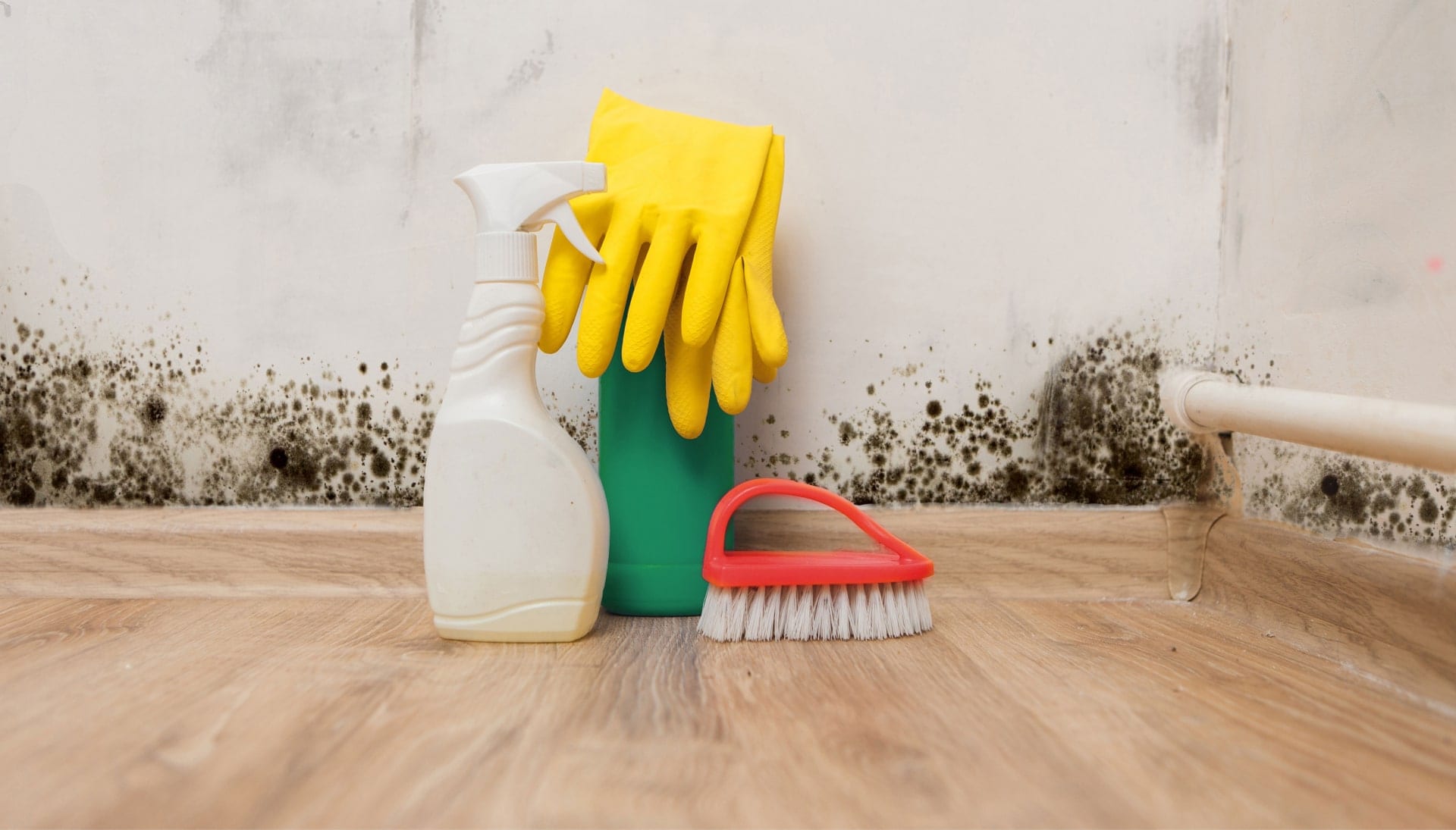 Know About Mold Removal In New Berlin