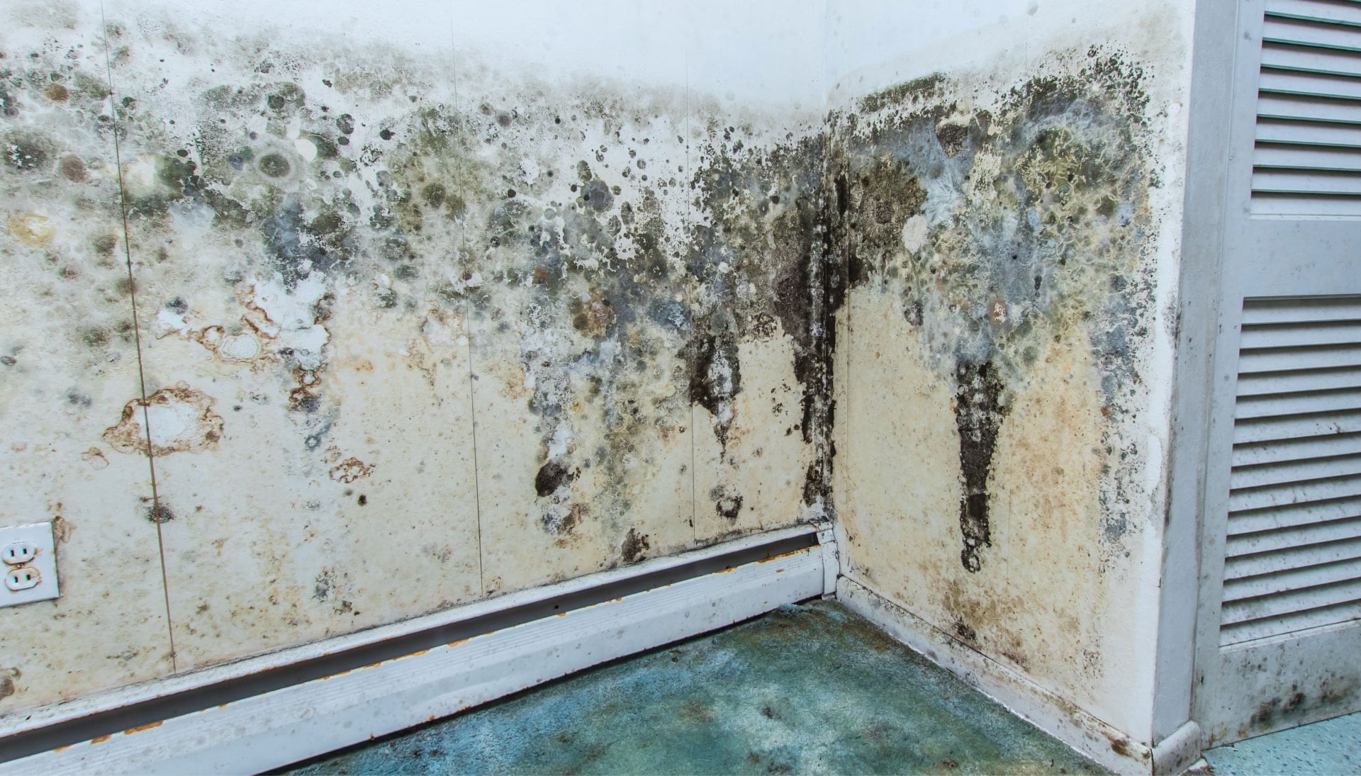 Mold Damage Odor Control Services in New Berlin