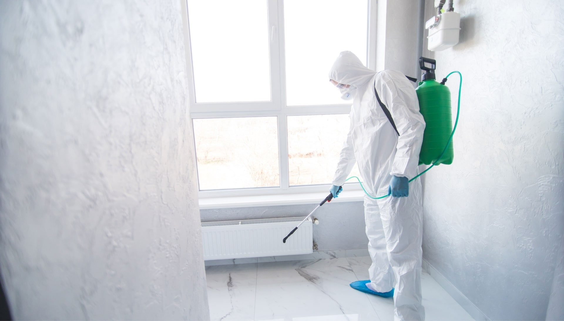 Mold Inspection Services in New Berlin